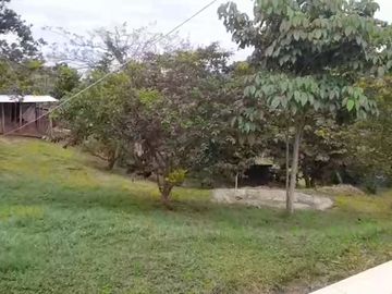VENTA FINCA PRODUCTIVA LA CUMBRE