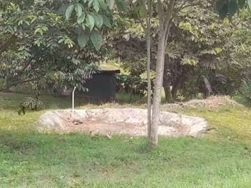VENTA FINCA PRODUCTIVA LA CUMBRE