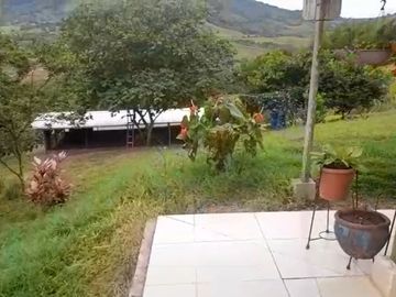 VENTA FINCA PRODUCTIVA LA CUMBRE