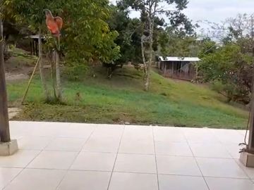 VENTA FINCA PRODUCTIVA LA CUMBRE