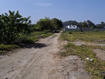 SE VENDE TERRENO DE 17,212 M2 EN BUJAMA, MALA, CAÑETE