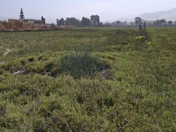SE VENDE TERRENO DE 17,212 M2 EN BUJAMA, MALA, CAÑETE