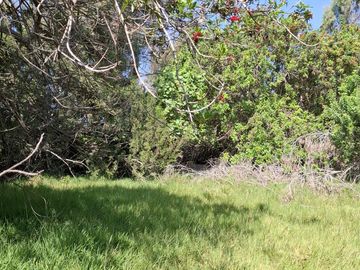 SE VENDE TERRENO DE 17,212 M2 EN BUJAMA, MALA, CAÑETE