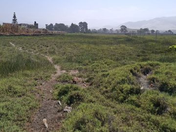 SE VENDE TERRENO DE 17,212 M2 EN BUJAMA, MALA, CAÑETE