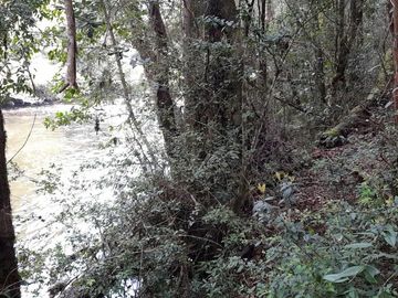 Parcela con orilla de río sector Copihuelpi - Villarrica