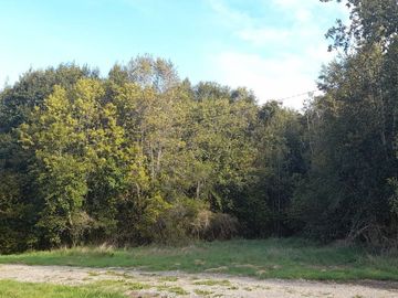 Parcela con orilla de río sector Copihuelpi - Villarrica