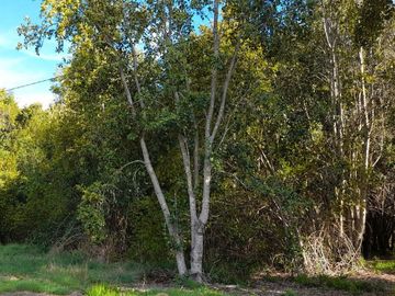 Parcela con orilla de río sector Copihuelpi - Villarrica