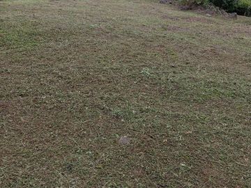 SE VENDE LOTE EN MEDIO DAPA