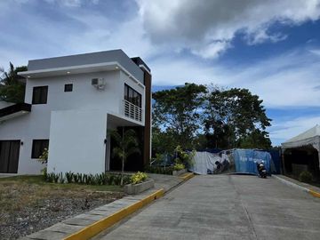 Affordable 5 Bedrooms Single Detached house  in Panglao Bohol