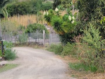 Vendo QUINTA en Santa Isabel