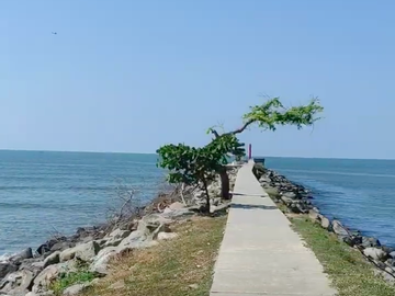 DEPARTAMENTO DE LUJO FRENTE A LA MARINA DE NUEVO VALLARTA