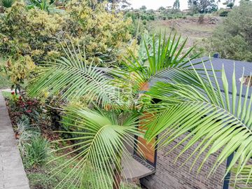 Finca en unidad cerrada en venta El Peñol