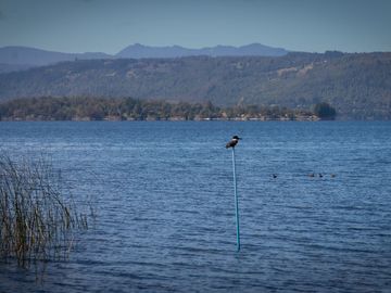 Parcela de 5.000 m² con Casa Nueva en Condominio con Acceso a Playa en Lago Calafquén – Panguipulli