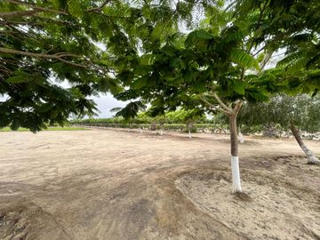 Venta Terreno desde 850 m² en Condominio de Casas de Campo – Asia