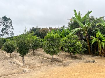 Venta Terreno desde 850 m² en Condominio de Casas de Campo – Asia