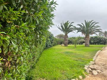 Venta Terreno desde 850 m² en Condominio de Casas de Campo – Asia