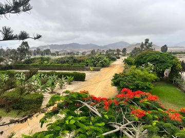 Venta Terreno desde 850 m² en Condominio de Casas de Campo – Asia