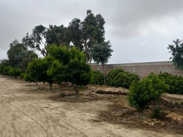 Venta Terreno desde 850 m² en Condominio de Casas de Campo – Asia