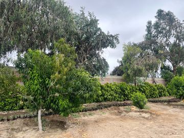 Venta Terreno desde 850 m² en Condominio de Casas de Campo – Asia