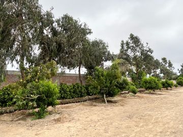 Venta Terreno desde 850 m² en Condominio de Casas de Campo – Asia