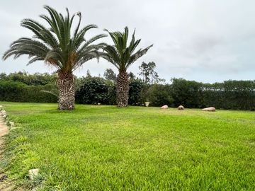Venta Terreno desde 850 m² en Condominio de Casas de Campo – Asia