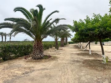 Venta Terreno desde 850 m² en Condominio de Casas de Campo – Asia