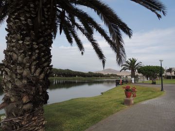 Venta Casa en Playa Las Lagunas de Puerto Viejo con Piscina y 5 Dormitorios