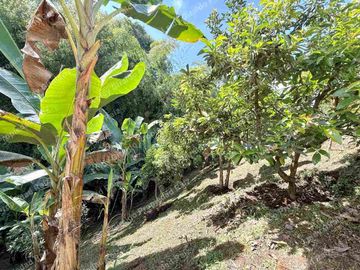 Venta de Casa Campestre en Combia Pereira