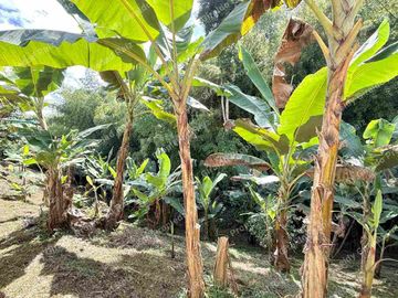 Venta de Casa Campestre en Combia Pereira