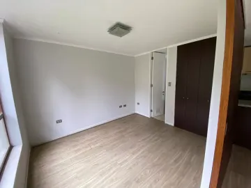 Lindo Departamento En Pedro De Valdivia