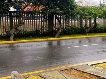 DEPARTAMENTO en ALQUILER en SURCO