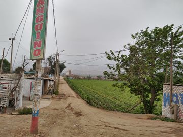 Terreno Plano Amplio En Carabayllo Excelente Oportunidad De Inversión