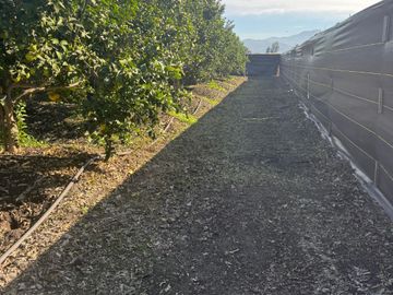 VENTA PARCELA SAN ISIDRO, QUILLOTA