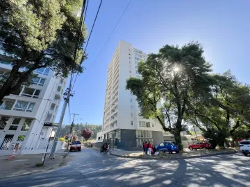 Hermoso Departamento En Venta En Collao
