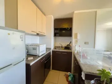 Departamento En Pedro De Valdivia