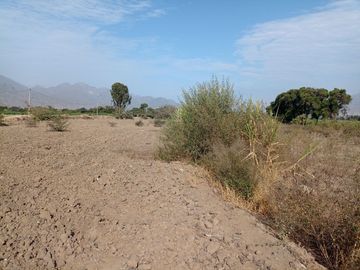 Laredo, REMATE 2 Hectáreas.