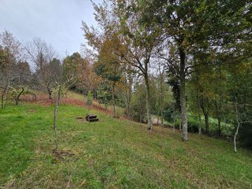 Parcela con Casa y Galpon Sector Llascahue