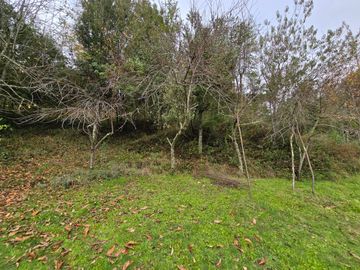 Parcela con Casa y Galpon Sector Llascahue