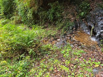Parcela con Casa y Galpon Sector Llascahue