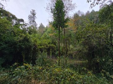 Parcela con Casa y Galpon Sector Llascahue