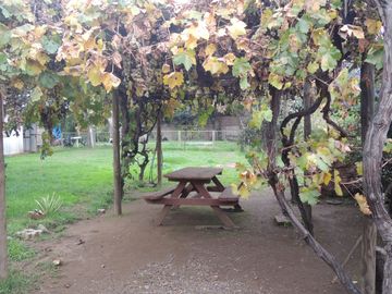 ESTUPENDA CASA EN EL CENTRO DE OLMUE, CALLE O´HIGGINS 5 DORMITORIOS, 4 BAÑOS