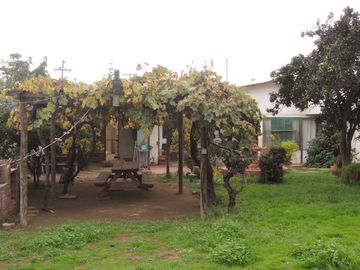 ESTUPENDA CASA EN EL CENTRO DE OLMUE, CALLE O´HIGGINS 5 DORMITORIOS, 4 BAÑOS