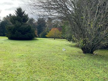 Parcela 5.000 m2 en hermoso entorno verde, frondoso.  Calles pavimentadas a un paso de la ciudad de Temuco.