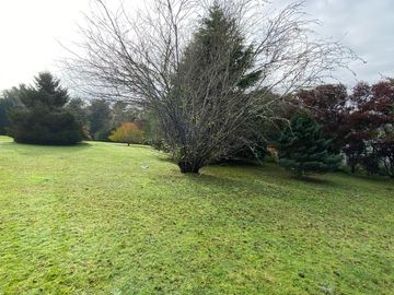 Parcela 5.000 m2 en hermoso entorno verde, frondoso.  Calles pavimentadas a un paso de la ciudad de Temuco.