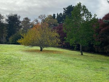 Parcela 5.000 m2 en hermoso entorno verde, frondoso.  Calles pavimentadas a un paso de la ciudad de Temuco.