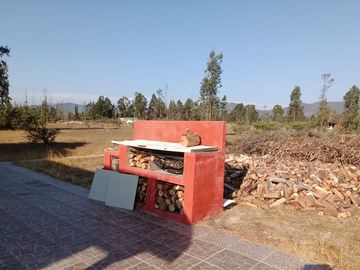 Cyber por 30 días, Foresta de Zapallar