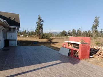 Cyber por 30 días, Foresta de Zapallar