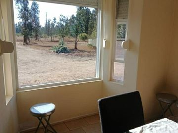 Cyber por 30 días, Foresta de Zapallar