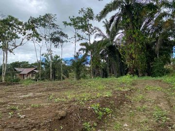 TERRENO PLANO LISTO PARA CONSTRUIR EN URBANIZACIÓN PRIVADA - 1000 M2