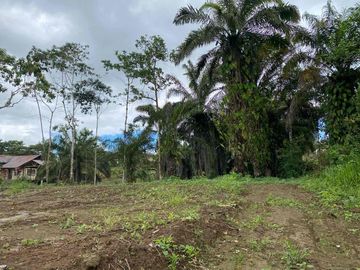 TERRENO PLANO LISTO PARA CONSTRUIR EN URBANIZACIÓN PRIVADA - 1000 M2
